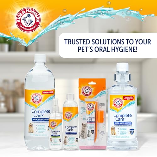 Arm & Hammer Routine dentaire — peut soutenir une propreté buccale améliorée sans brossage.