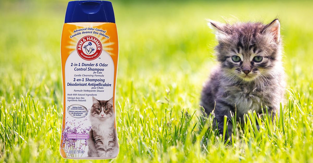 Arm & Hammer Shampoing chat, formule sans contact yeux et bouche.
