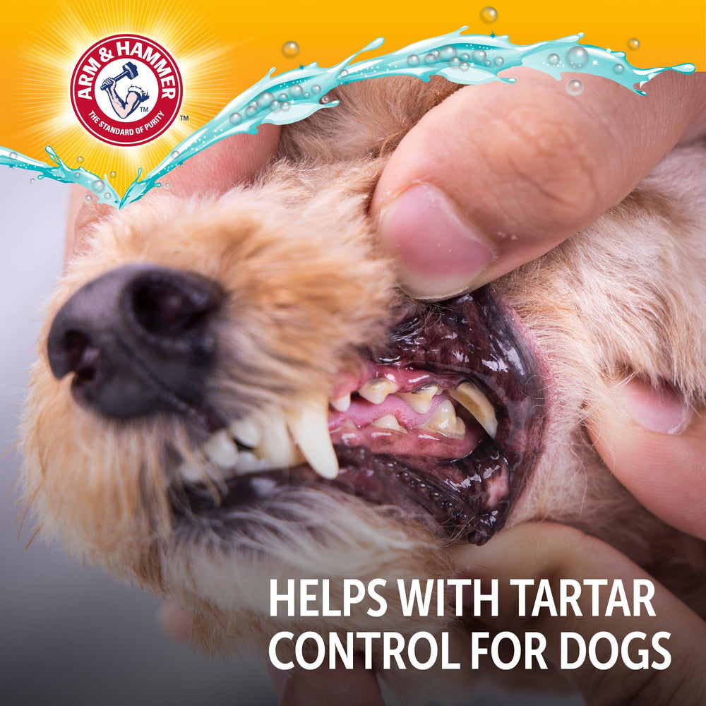 Arm & Hammer Solution buccale — utilisation pratique dans l’eau courante du chien.