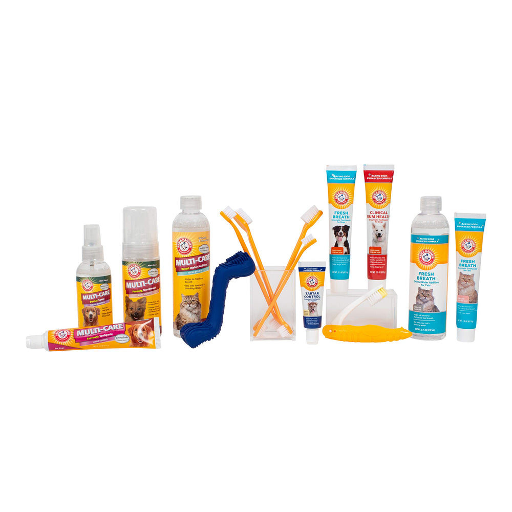 Spray dentaire Arm & Hammer pour chien, utilisation après les repas.