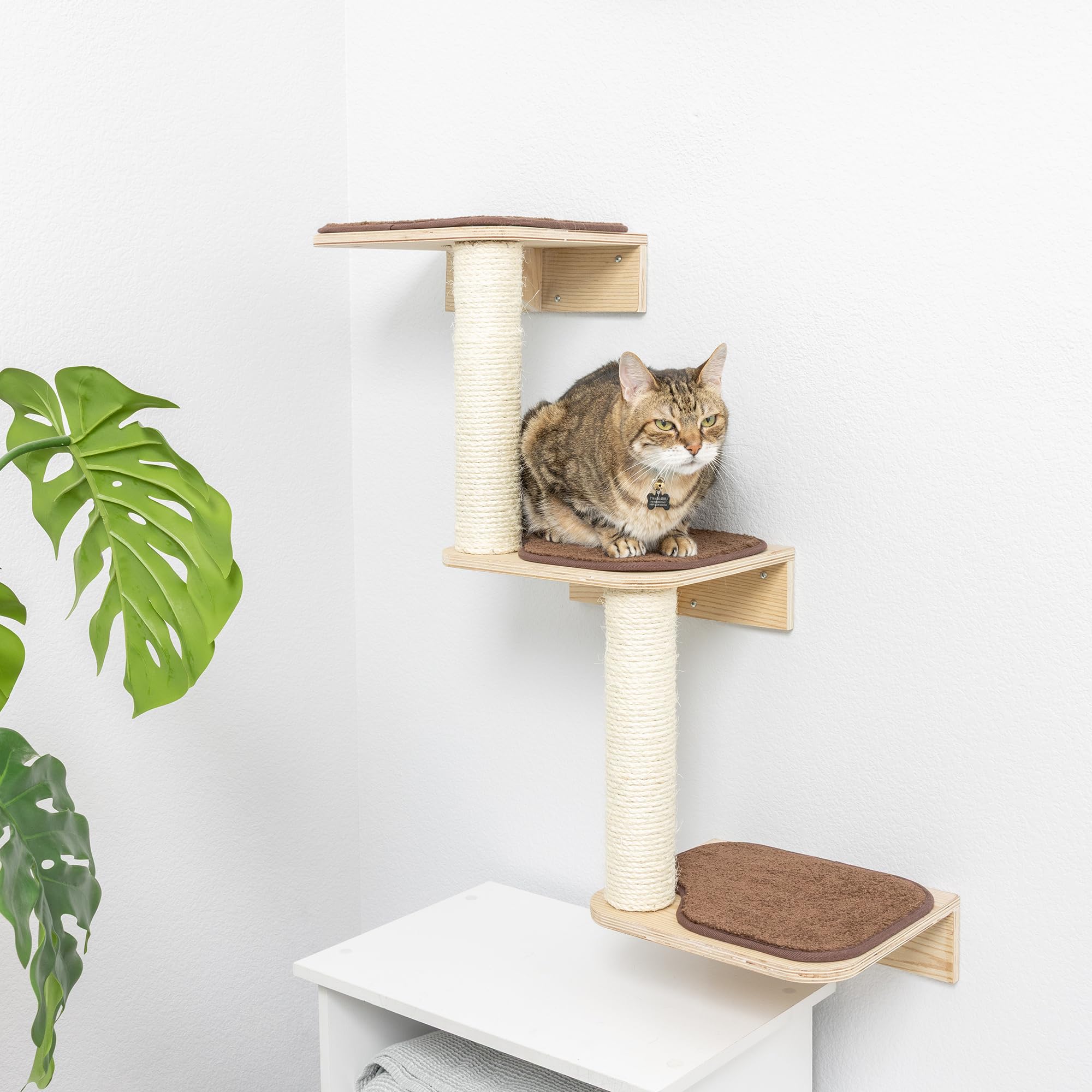 Armarkat base murale beige et surface en bois durable pour chat.