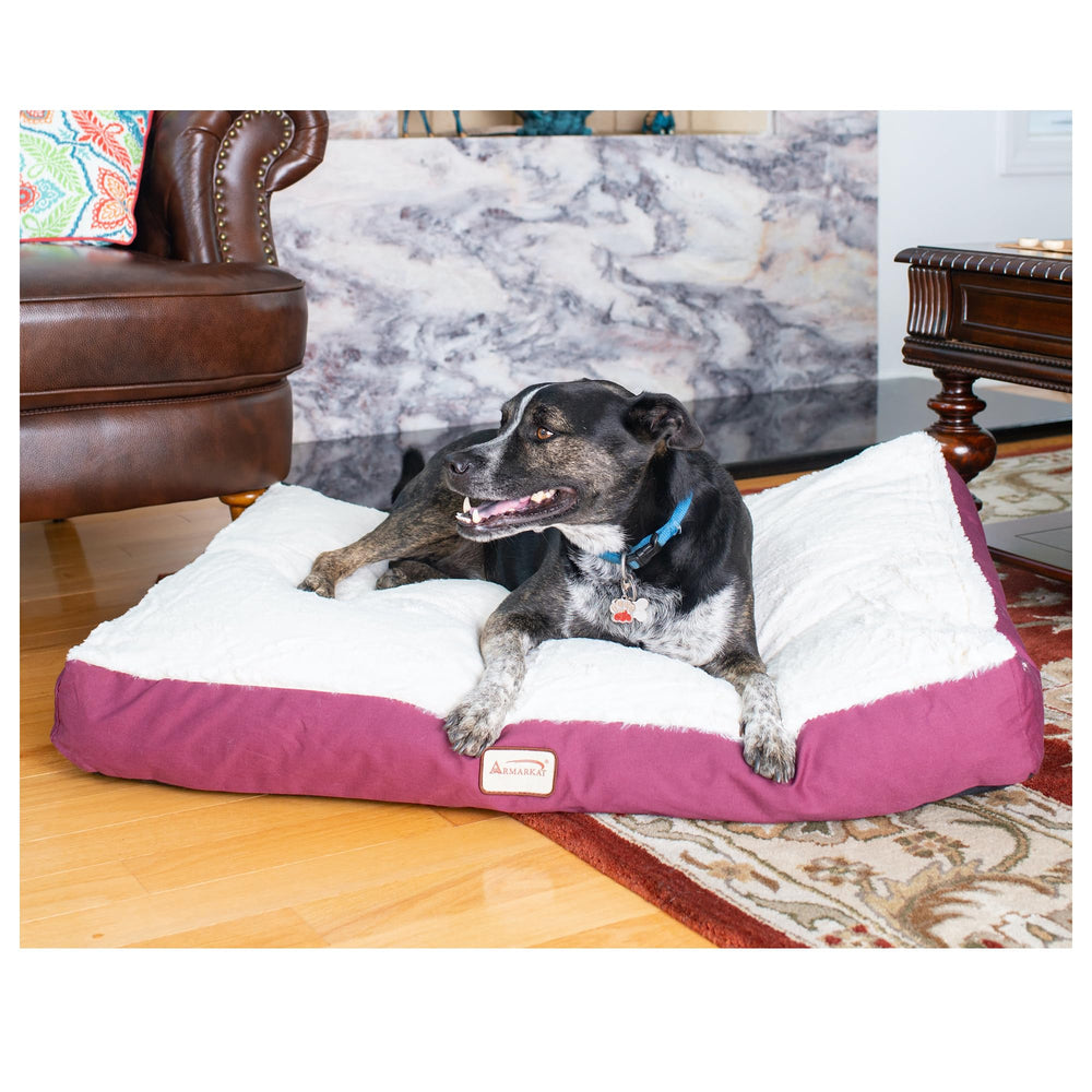 Armarkat Tapis-lit chien fond antidérapant pour stabilité.