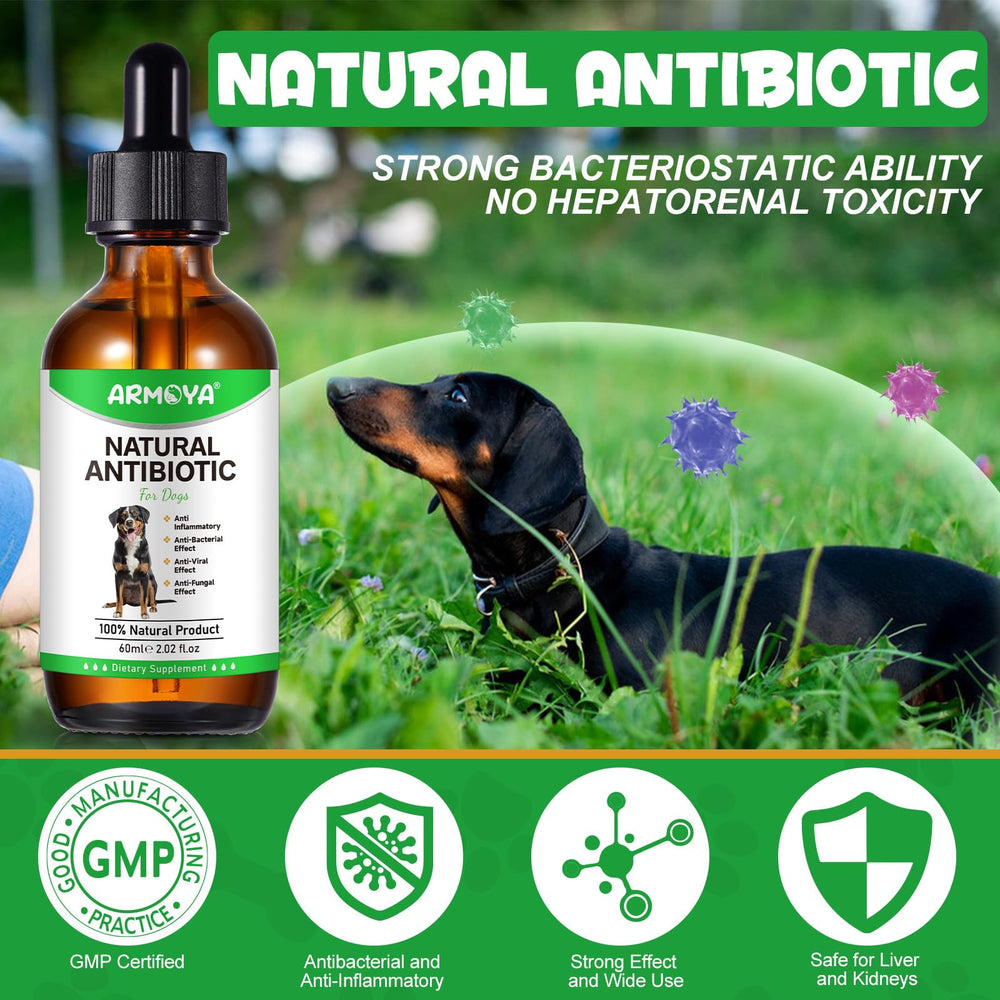 Ingrédients biologiques ARMOYA pour un soutien nutritionnel des chiens actifs