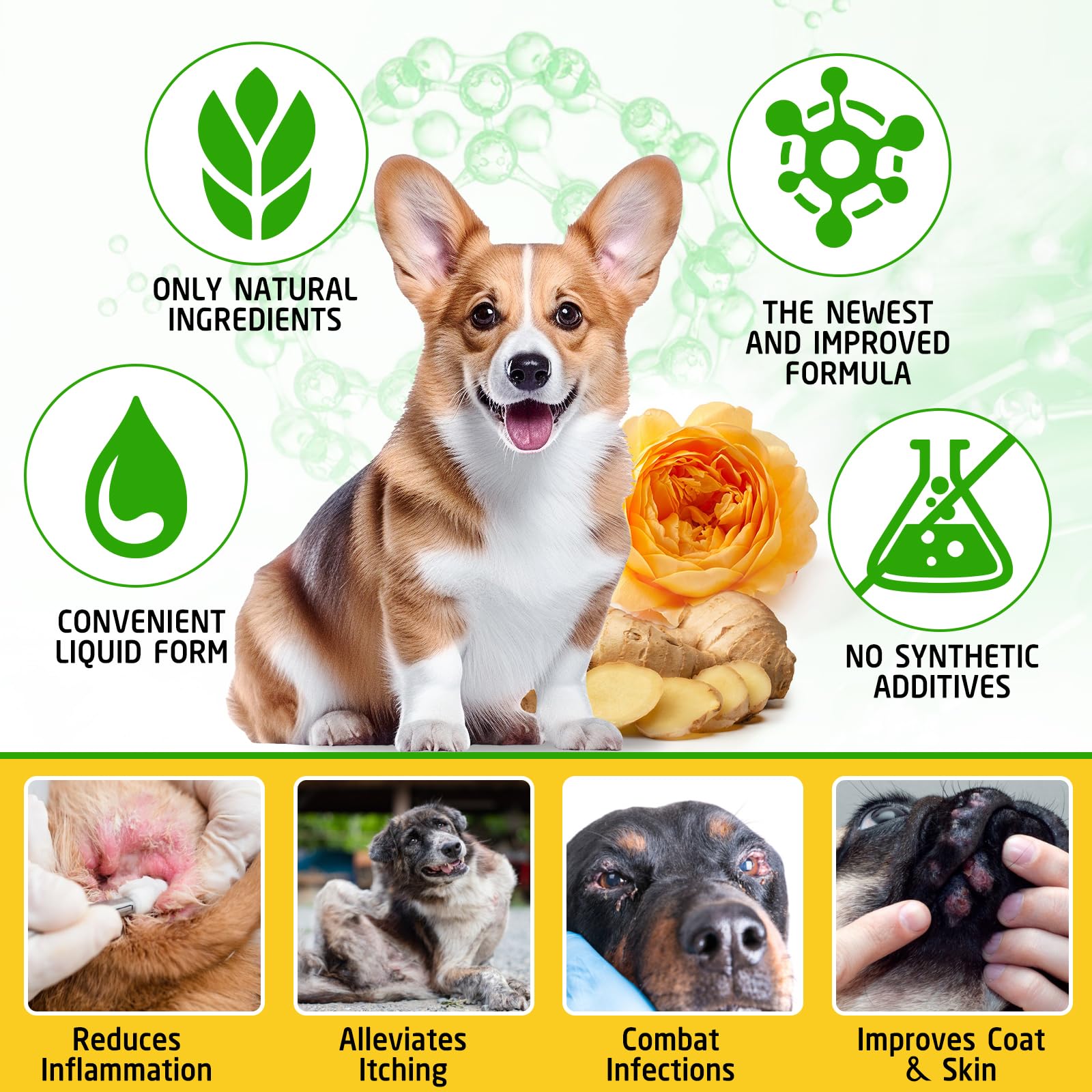 ARMOYA bien-être chien formule naturelle et facile à digérer.