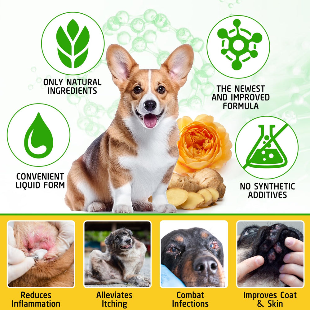 ARMOYA bien-être chien formule naturelle et facile à digérer.