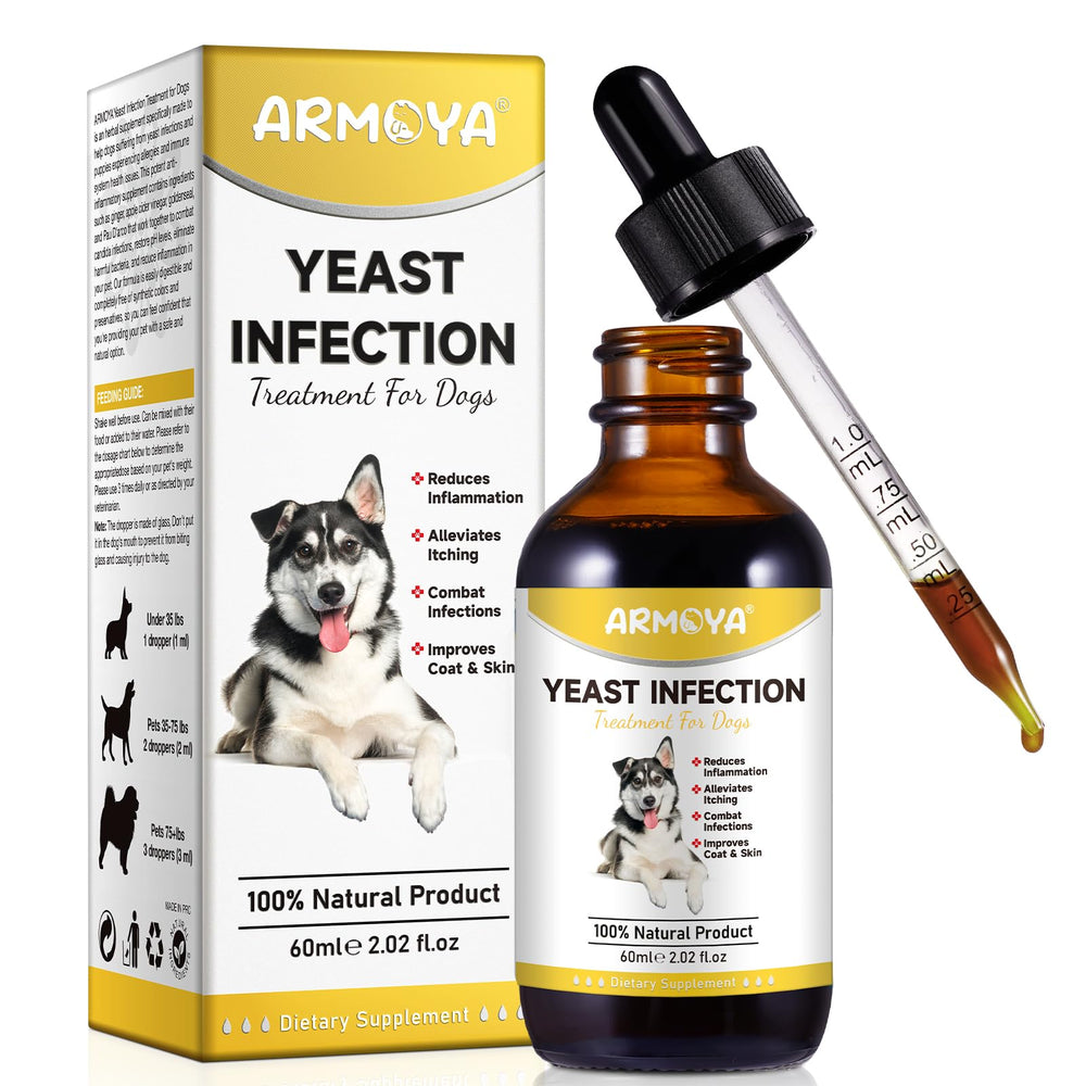 ARMOYA chien heureux grâce à un soutien quotidien.