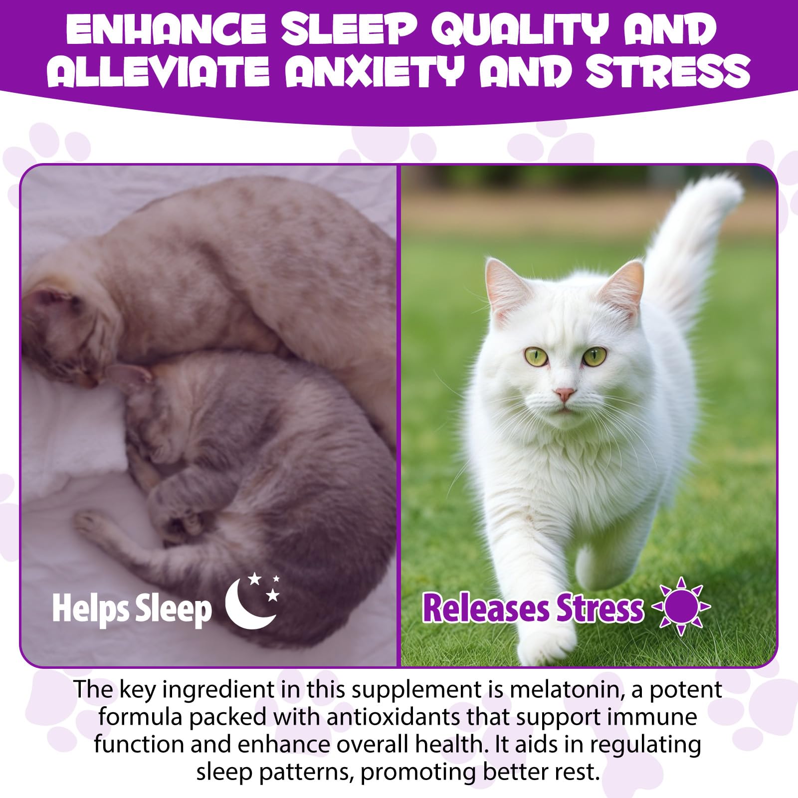 ARMOYA Confort Nuit chat pour une relaxation progressive.