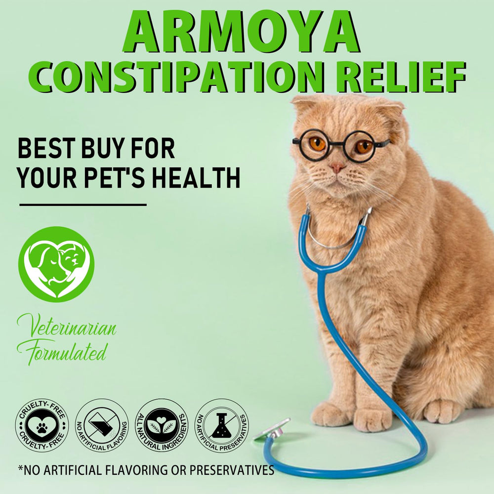 ARMOYA emotion bien etre chat: moment de calme et confort à la maison