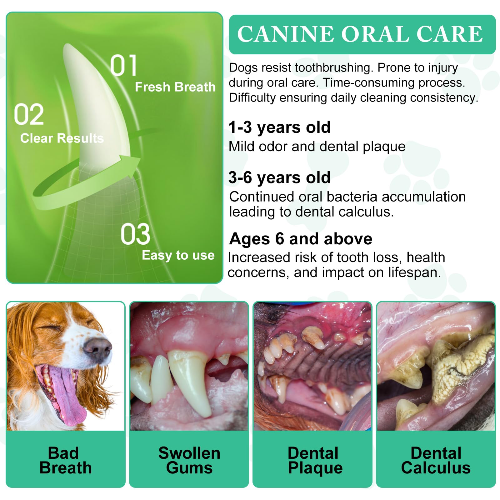 ARMOYA Poudre Dentaire chien: peut soutenir une bouche en meilleure forme