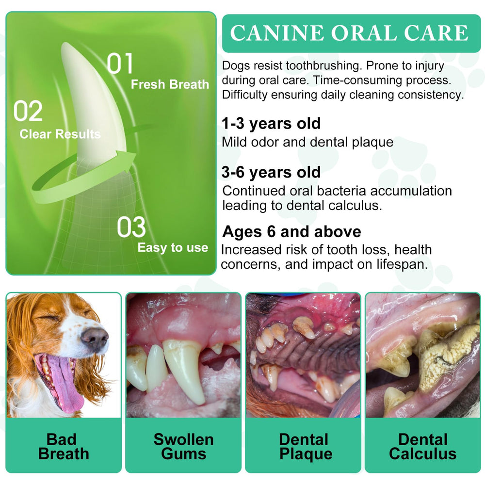 ARMOYA Poudre Dentaire chien: peut soutenir une bouche en meilleure forme