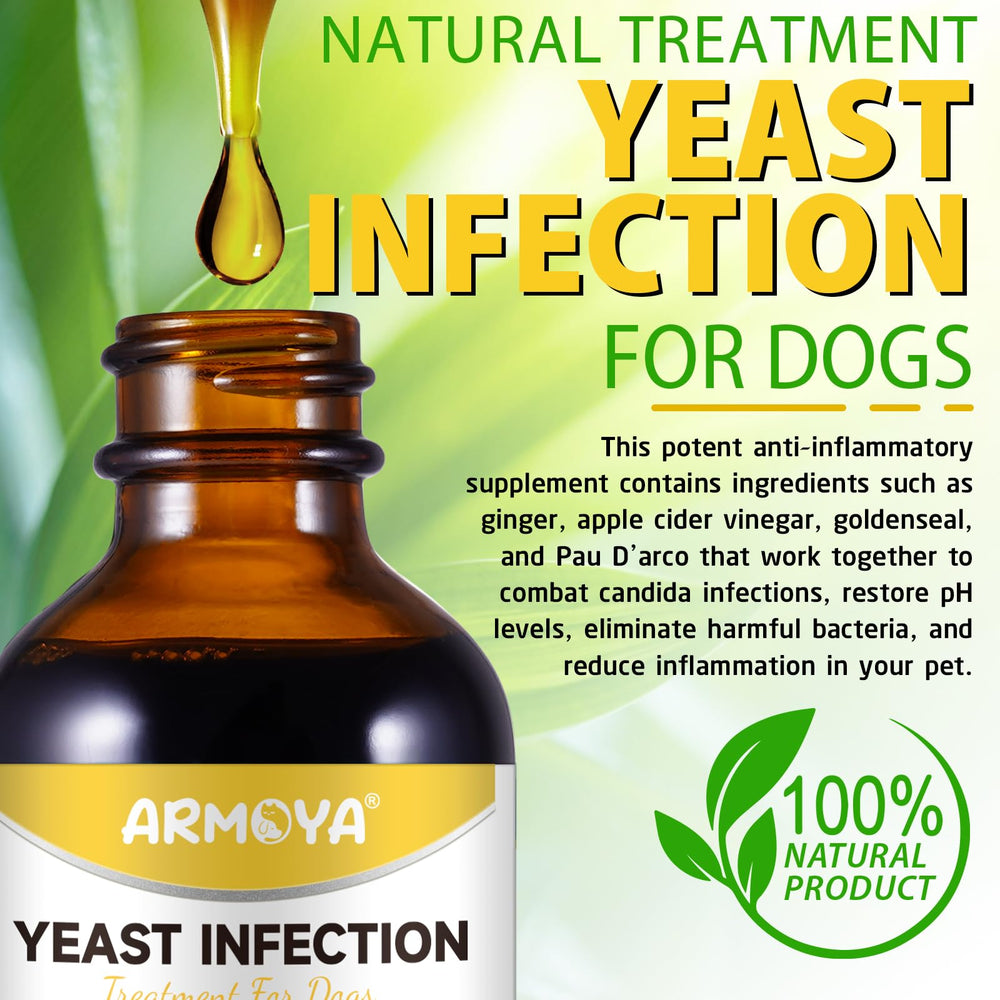 ARMOYA solution liquide absorption rapide dans l organisme canin.
