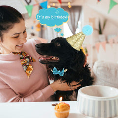 Bandeau tête réglable Arogheiz pour animaux bleu clair, ajustement simple