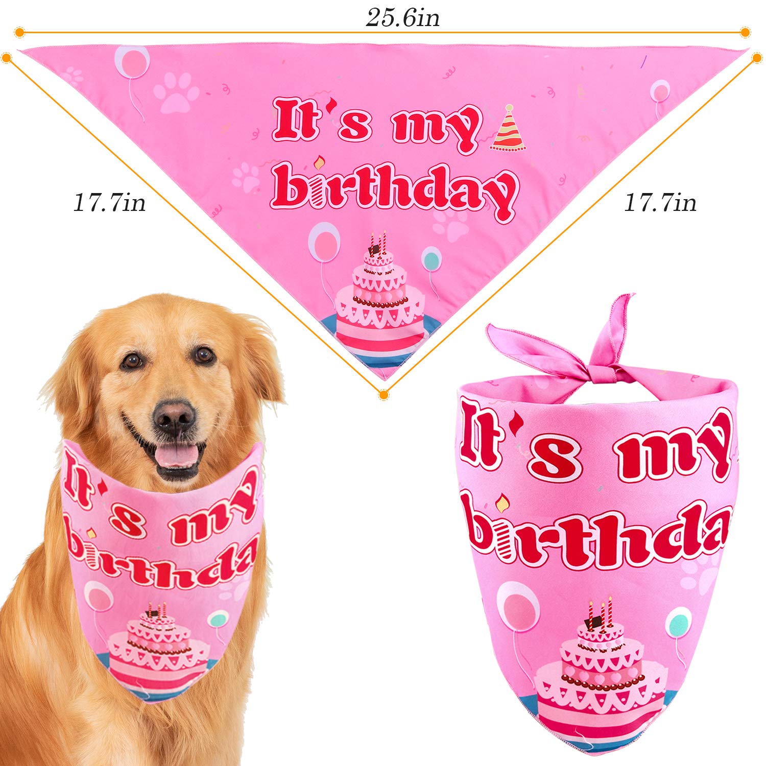 AROIC ballons anniversaire chien ambiance joyeuse et colorée