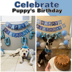 AROIC chapeau anniversaire chien, accessoire élégant et ajustable.