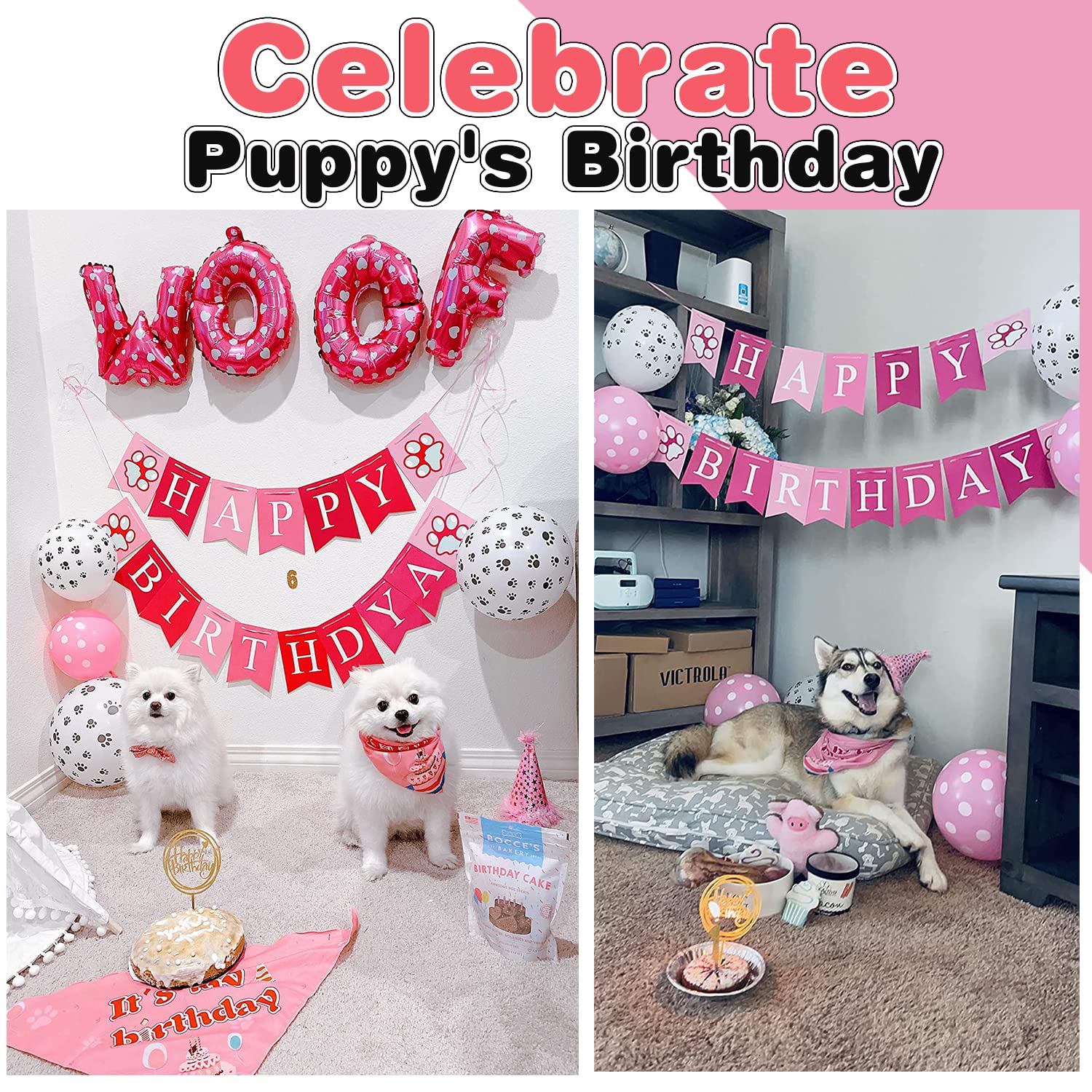AROIC chapeau anniversaire chien léger et confortable pour les photos