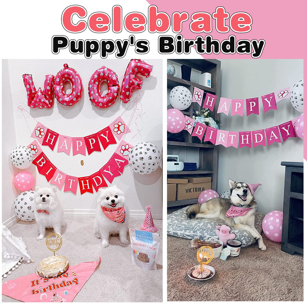 AROIC chapeau anniversaire chien léger et confortable pour les photos