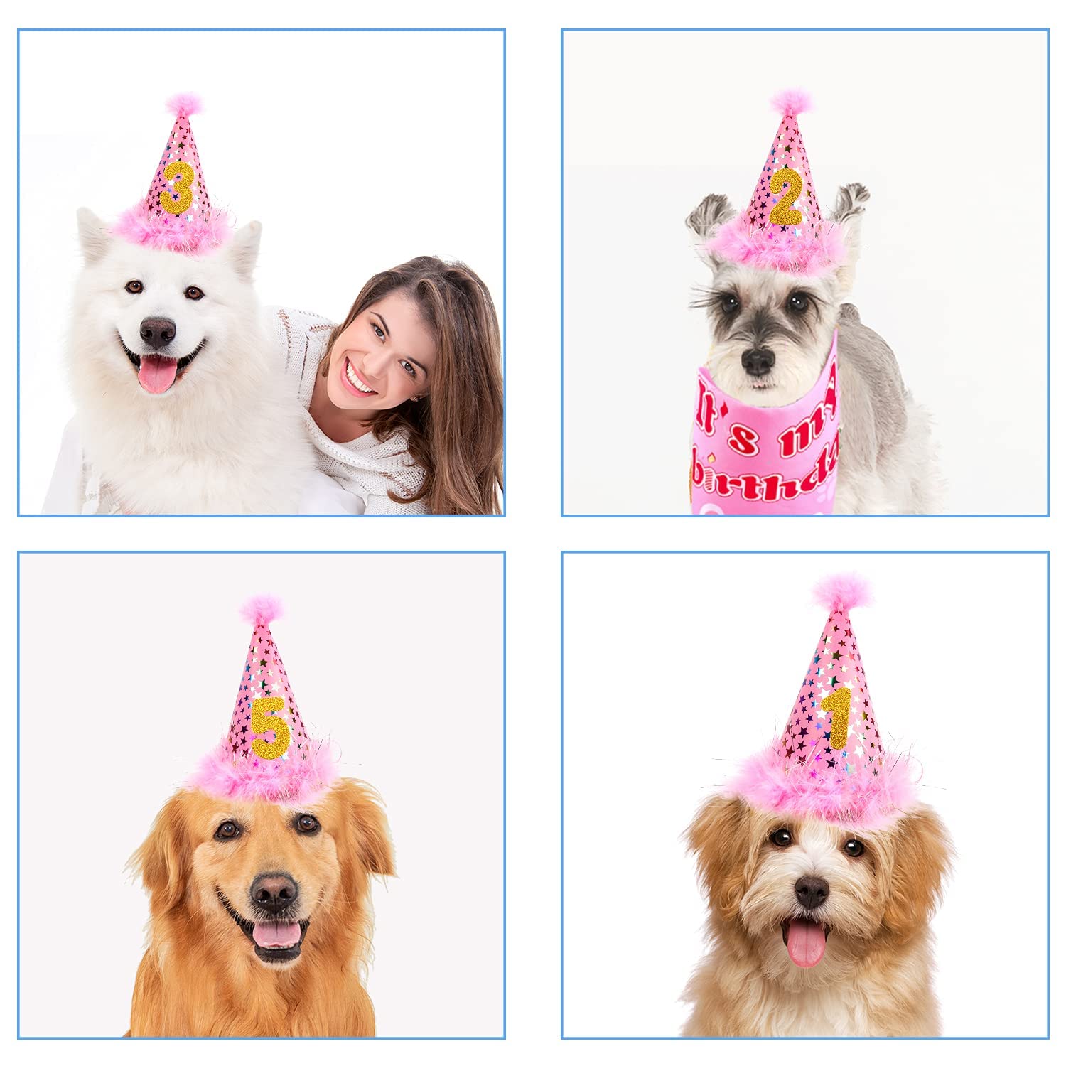 AROIC décoration photo anniversaire chien idéale pour souvenirs