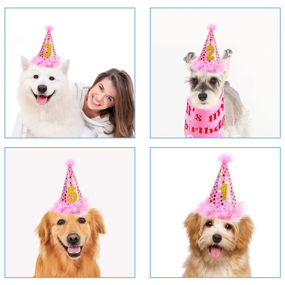 AROIC décoration photo anniversaire chien idéale pour souvenirs