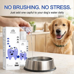 Aroven Dental Dog – Cap-dose, dose simple pour routine sans brosse