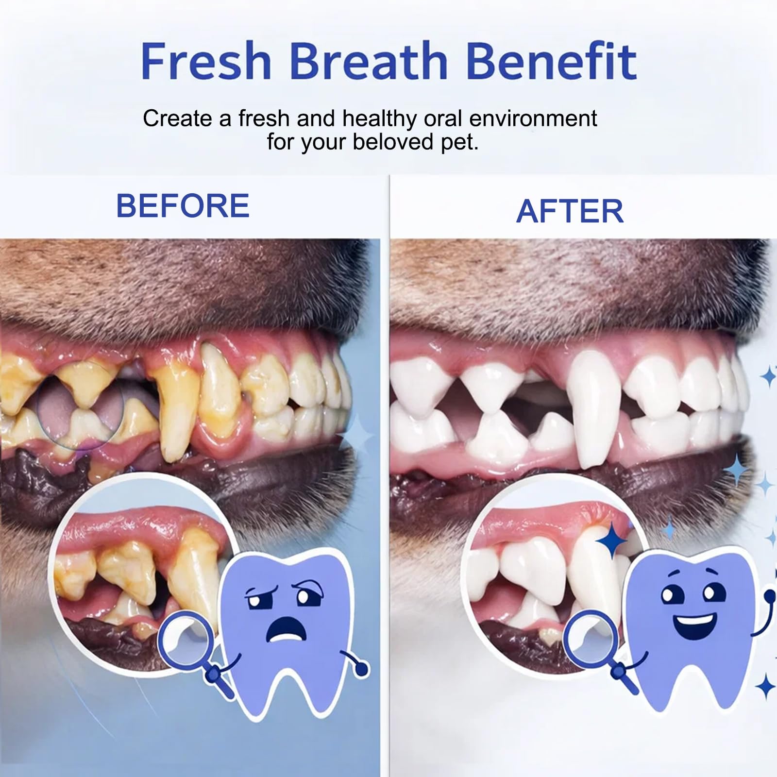 Aroven Dental Dog – Formule sans parfum, convient aux papilles sensibles