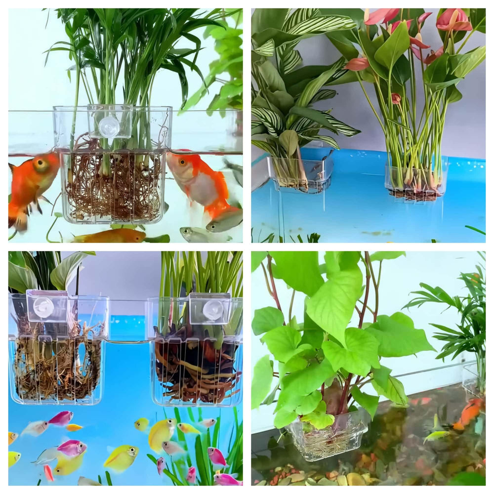 ARREBOL base perforée favorisant la circulation d'eau autour des plantes.