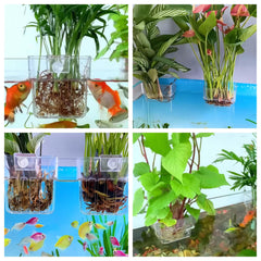 ARREBOL base perforée favorisant la circulation d'eau autour des plantes.