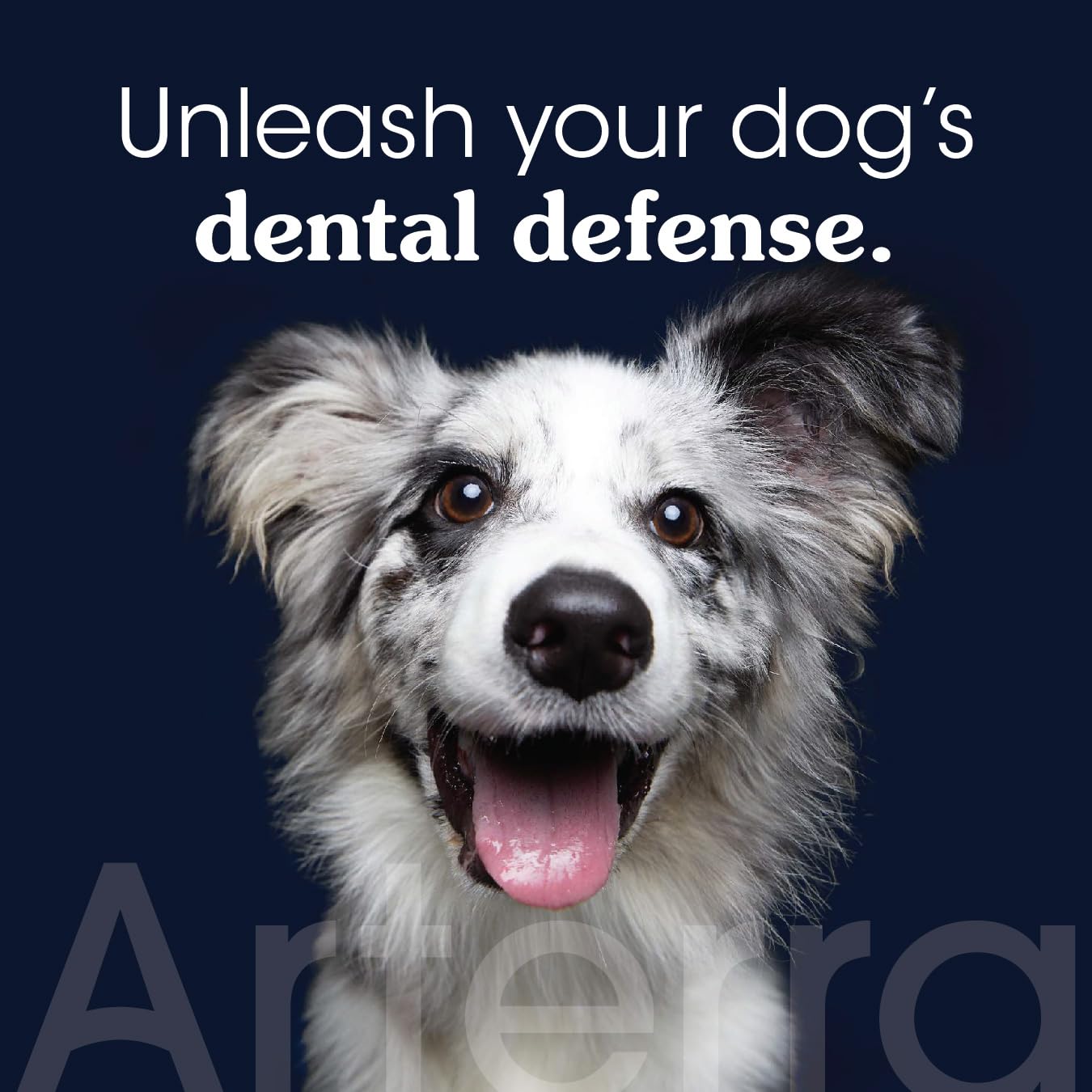 Dentifrice Arterra Pet Science en tube — nano-hydroxyapatite pour chiens
