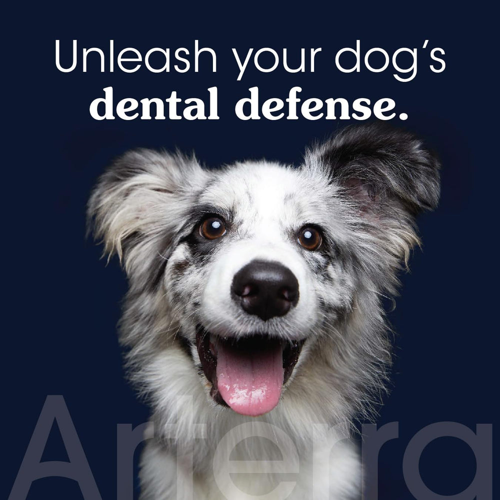 Dentifrice Arterra Pet Science en tube — nano-hydroxyapatite pour chiens