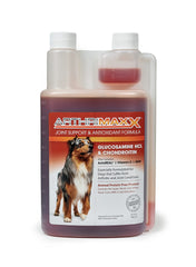 ArthriMAXX formule antioxydante naturelle pour une routine quotidienne