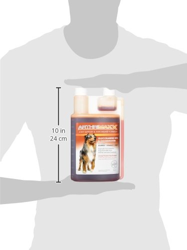 ArthriMAXX arôme végétal sans protéines animales, apprécié par les chiens sensibles