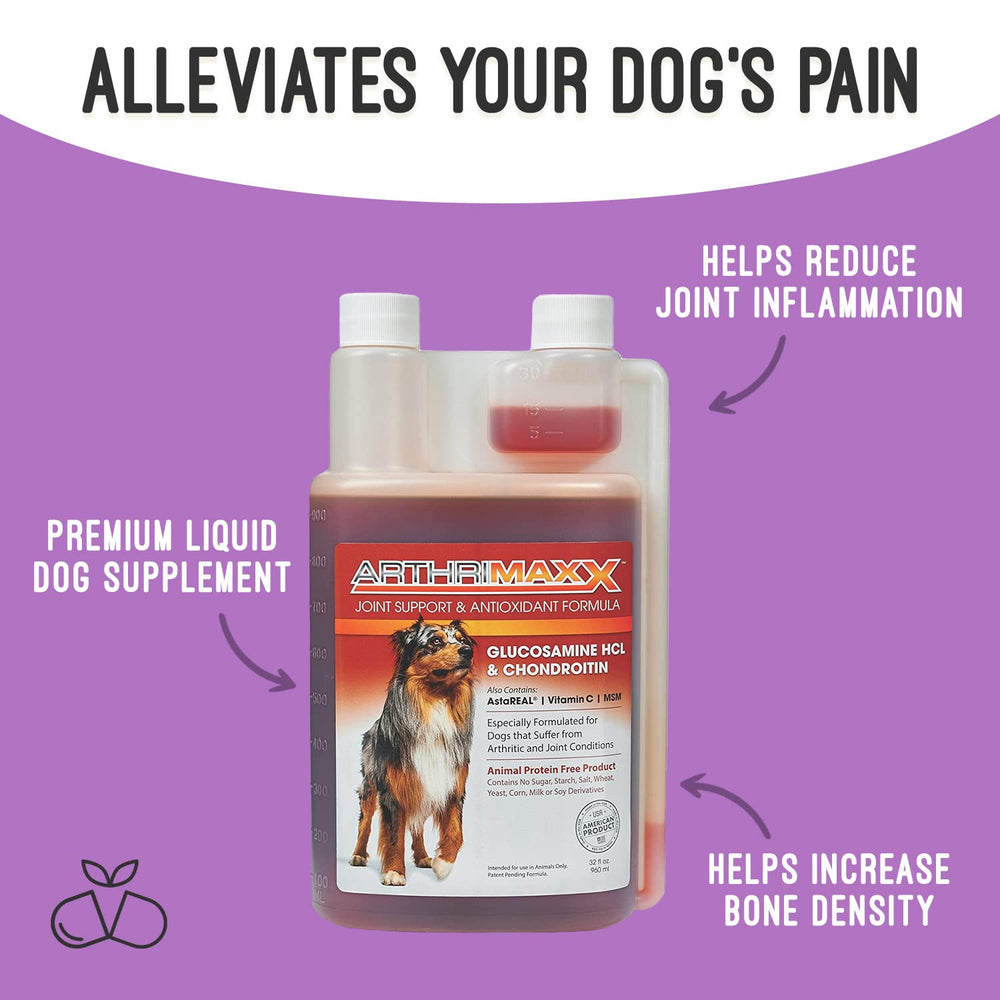 ArthriMAXX utilisation dans la nourriture du chien, ingestion simple