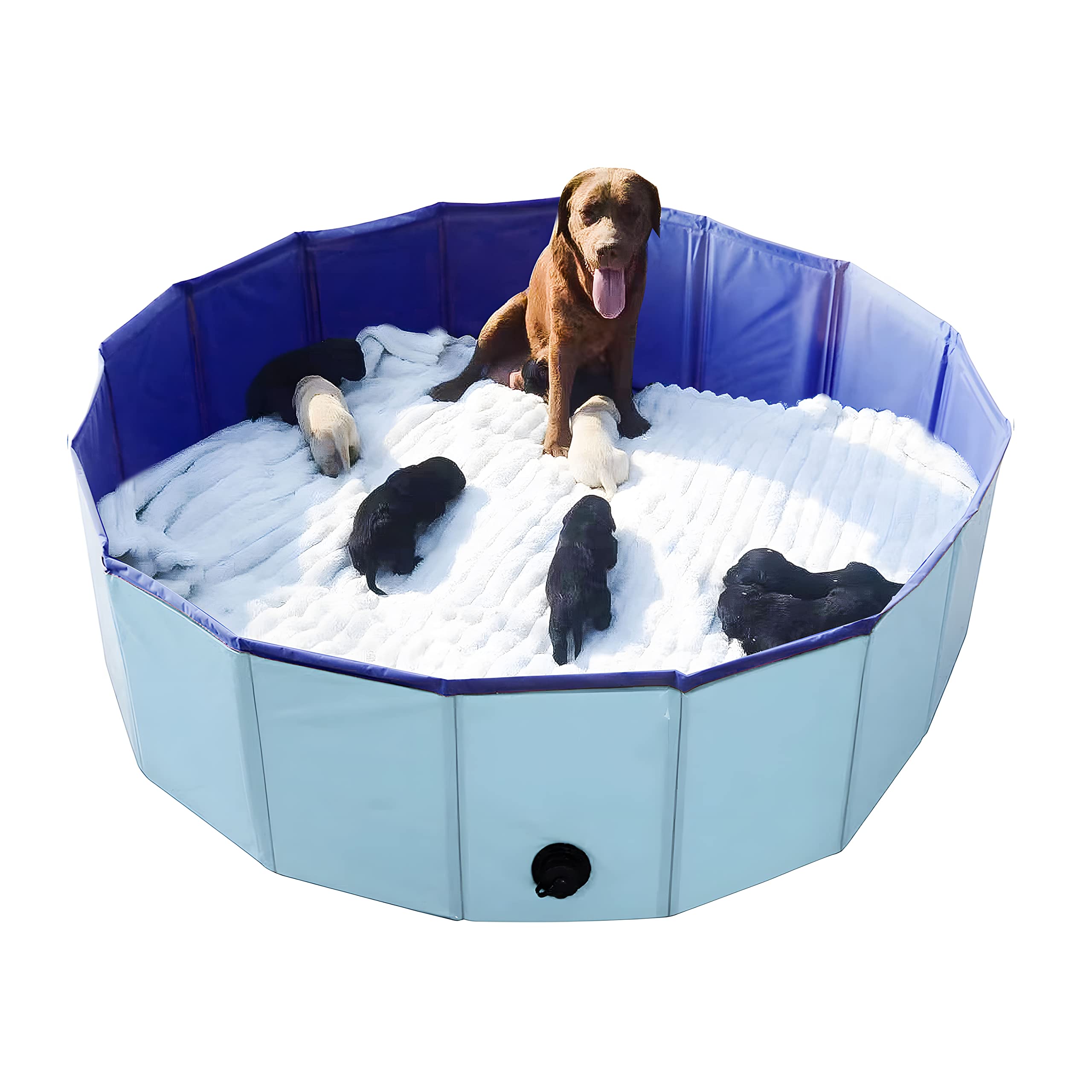 Artilife boîte-whelping bleu, bassin de 120 cm prêt pour la mise bas et le repos.
