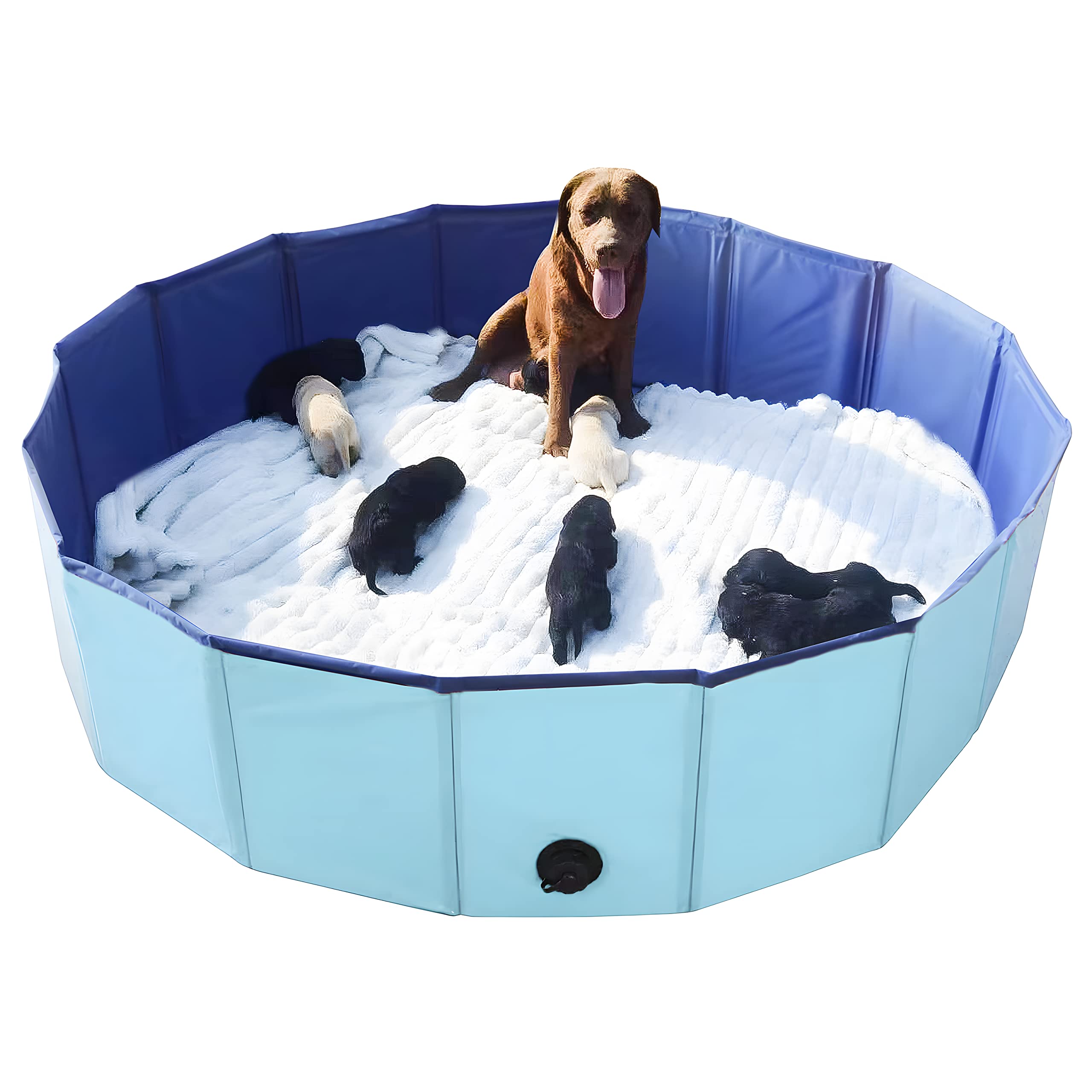 Box Artilife mise bas bleu, vue d'ensemble pratique.