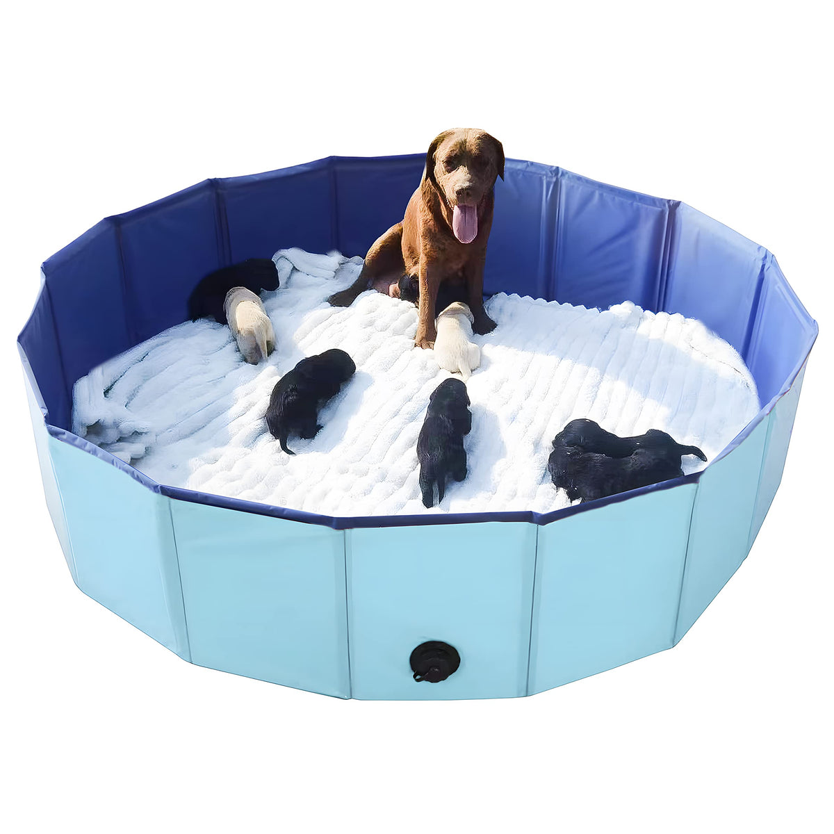 Box Artilife mise bas bleu, vue d'ensemble pratique.
