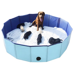 Box Artilife mise bas bleu, vue d'ensemble pratique.