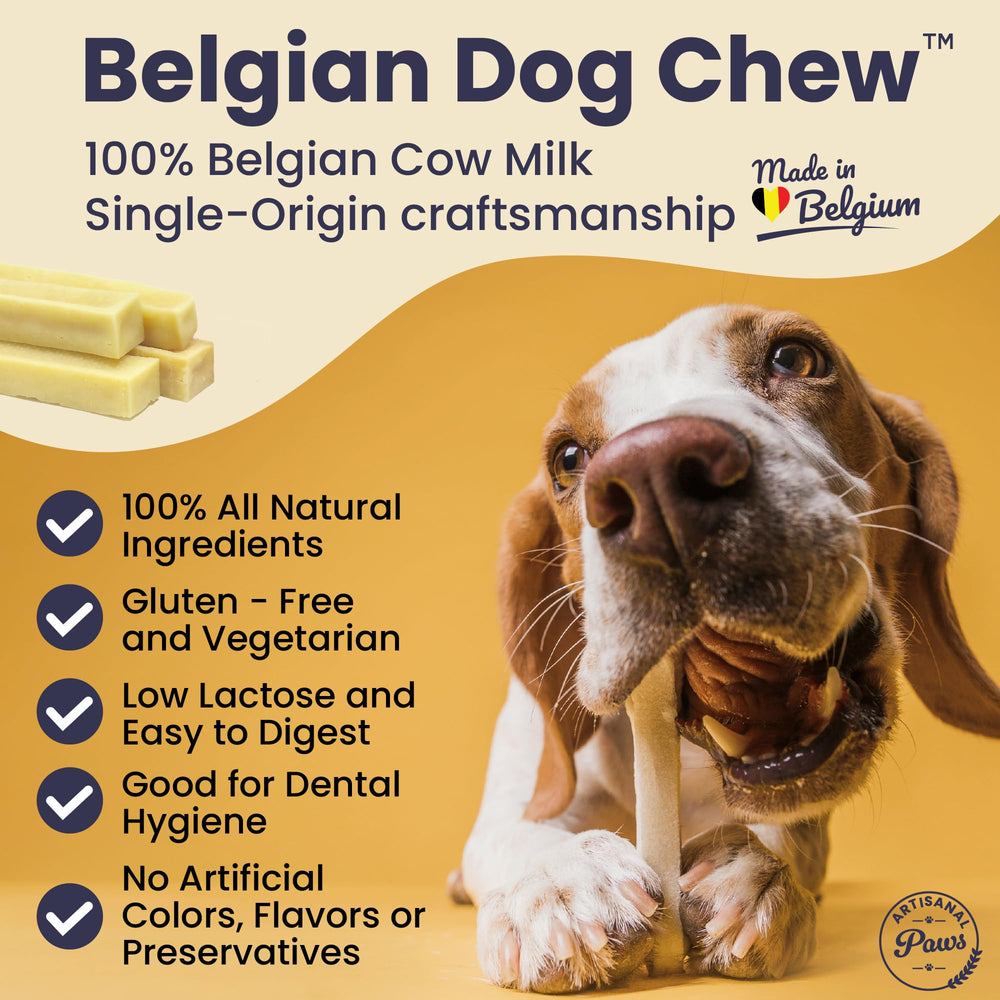 Artisanal Paws chien en train de mordiller – action de mastication agréable.
