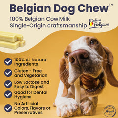 Artisanal Paws chien en train de mordiller – action de mastication agréable.