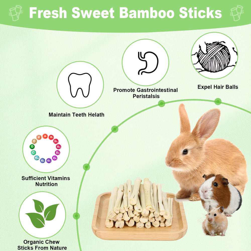 ARTKIDA bâtonnets en bambou doux pour cochon-d-inde, favorise le grignotage sain et naturel.