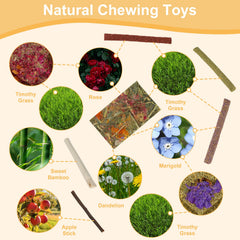 ARTKIDA crisps-dandelion-foin-timothy: bouchées naturelles pour dents et plaisir.