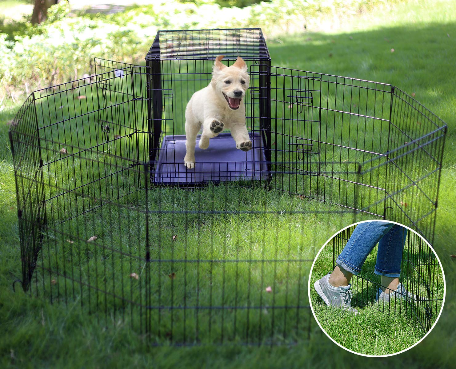 Artmalle espace généreux pour chiots et petits animaux en jeu.