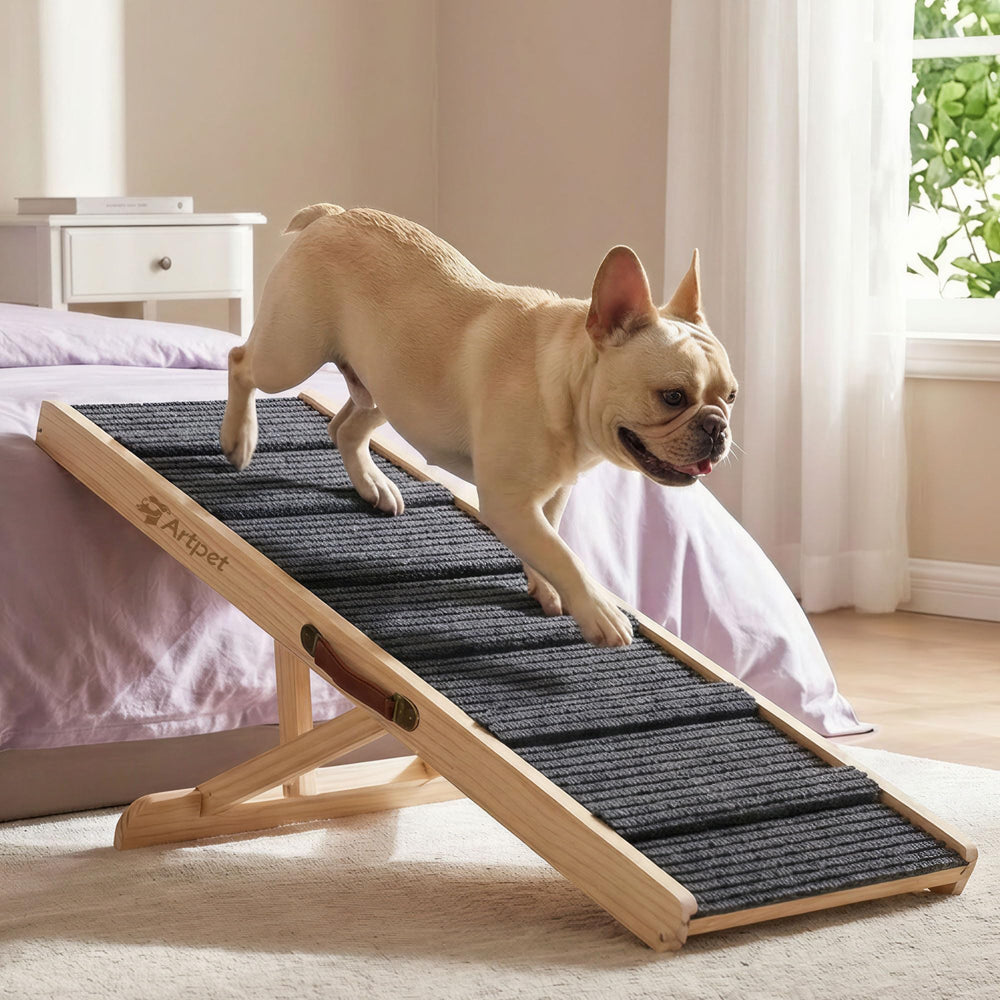 Artpet Rampe Chien – hauteur réglable pour accéder au canapé sans effort.
