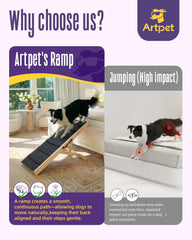 Artpet Rampe Chien – bois pin naturel, solide et sûr.