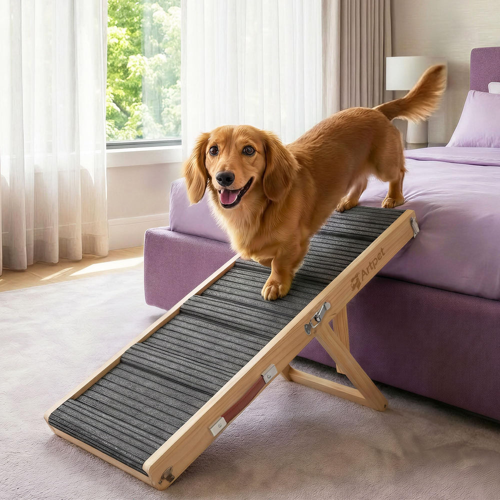 Artpet rampe pour chien petit canape : acces facile et traction fiable.