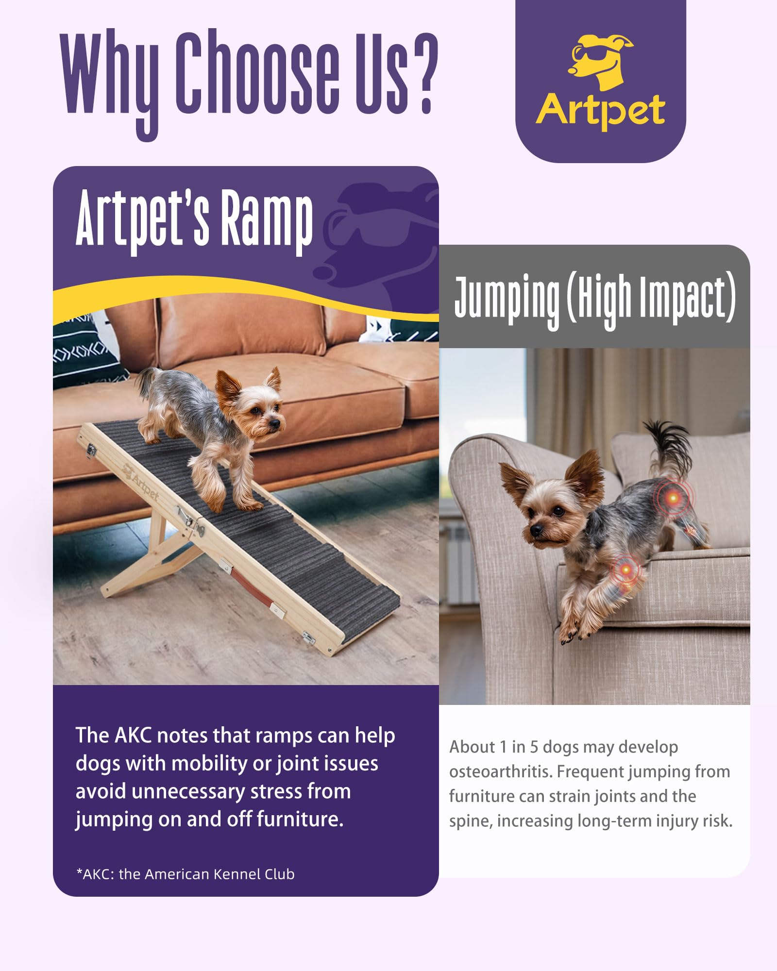Artpet rampe teckel anti-glisse : surface adherente pour des pas surs.