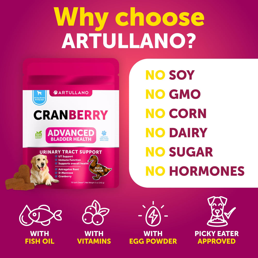 Artullano Dog UT Treats – texture douce, pratique comme récompense quotidienne.