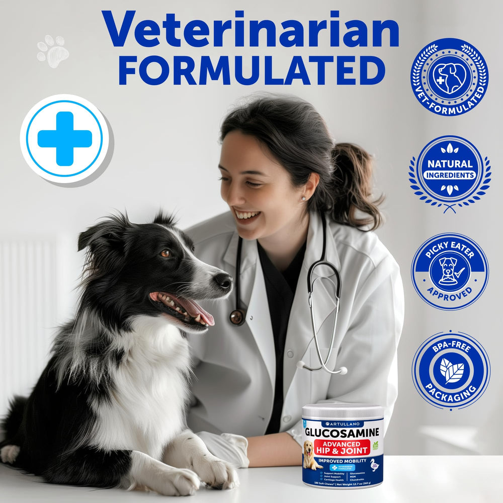 Format 180 friandises tendres pour grands chiens et grandes races.