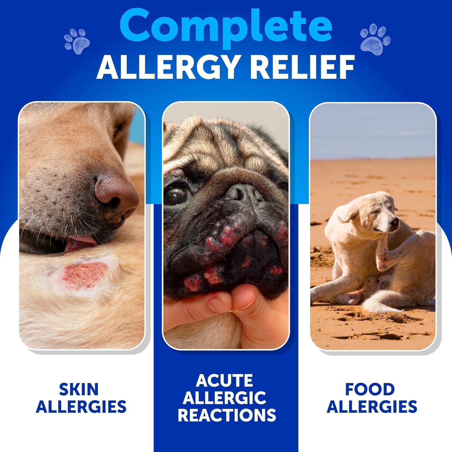 Gomme Artullano allergie chien, relief quotidien apprécié par les chiens.