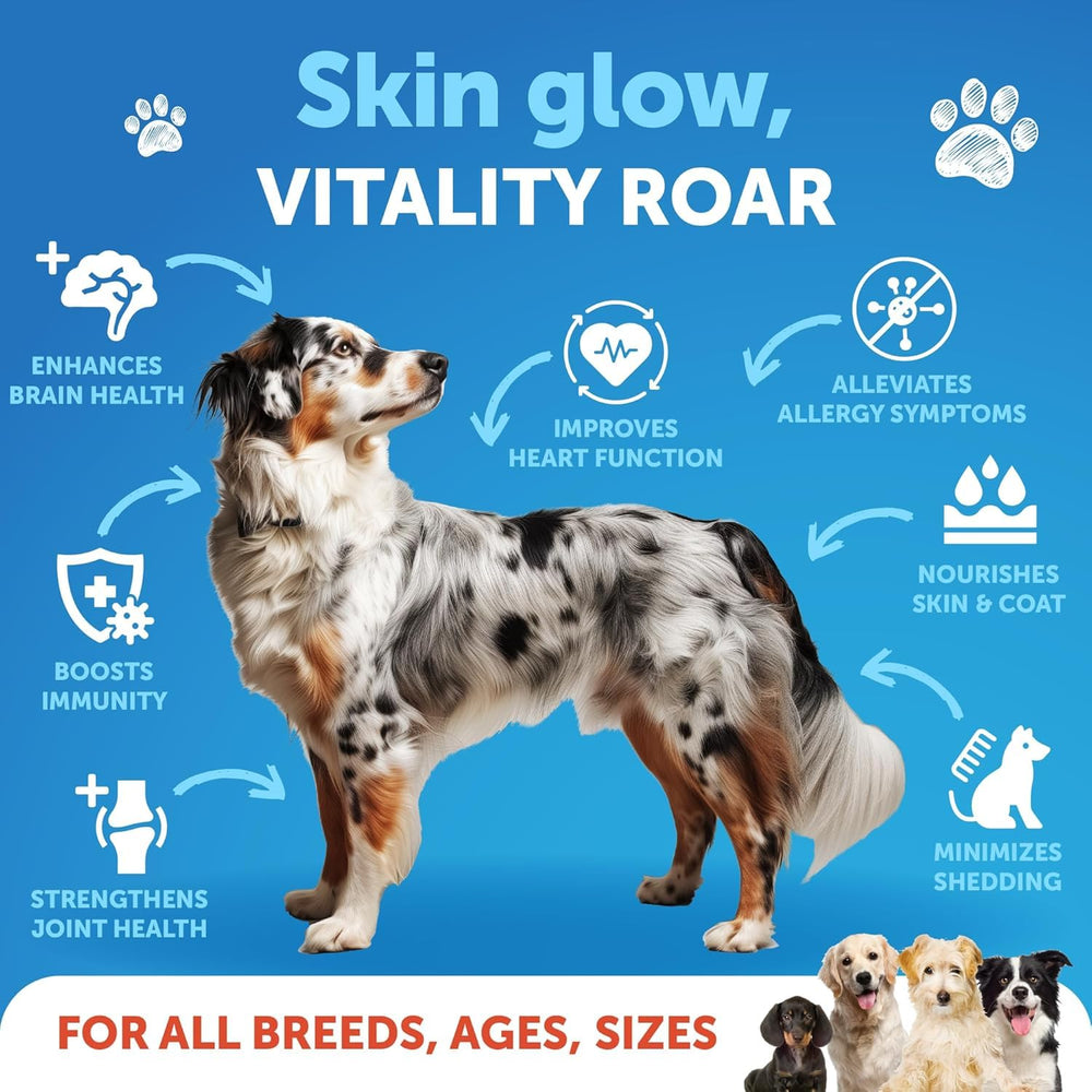 Artullano huile saumon pour chien, poil brillant et pelage sain.