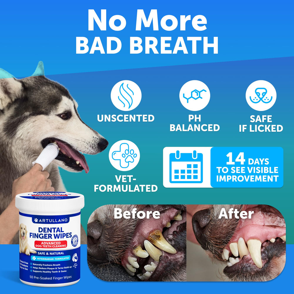 Gros plan sur l’huile de coco des lingettes Artullano pour chien.
