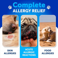 Artullano: liste d’ingrédients allergie chien, ingrédients naturels.